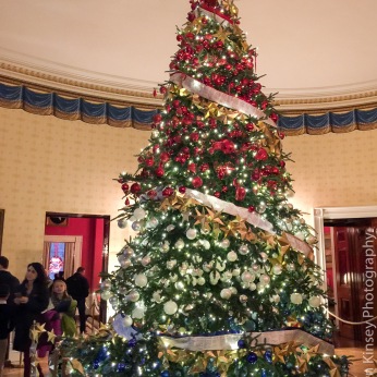 The Red, White, and Blue tree in the Blue Room. It is dedicated to our Nation's service members, veterans, and their families.